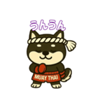 仲良しムエタイ柴犬夫婦（個別スタンプ：1）