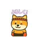 仲良しムエタイ柴犬夫婦（個別スタンプ：8）