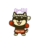 仲良しムエタイ柴犬夫婦（個別スタンプ：15）
