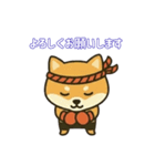 仲良しムエタイ柴犬夫婦2（個別スタンプ：1）