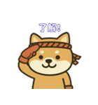 仲良しムエタイ柴犬夫婦2（個別スタンプ：9）