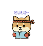 仲良しムエタイ柴犬夫婦2（個別スタンプ：11）