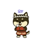 仲良しムエタイ柴犬夫婦2（個別スタンプ：12）