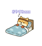 仲良しムエタイ柴犬夫婦2（個別スタンプ：14）