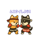 仲良しムエタイ柴犬夫婦2（個別スタンプ：16）