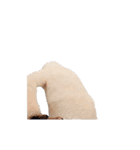 踊る！横揺れ界隈トイプードル/犬/わんこ（個別スタンプ：1）