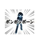 踊る！横揺れ界隈トイプードル/犬/わんこ（個別スタンプ：17）