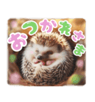 リアル動物の赤ちゃん♡らぶ♪子犬♡Love7（個別スタンプ：2）