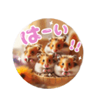 リアル動物の赤ちゃん♡らぶ♪子犬♡Love7（個別スタンプ：3）