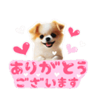 リアル動物の赤ちゃん♡らぶ♪子犬♡Love7（個別スタンプ：16）