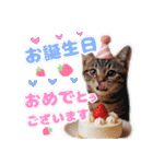 リアル動物の赤ちゃん♡らぶ♪子犬♡Love7（個別スタンプ：19）