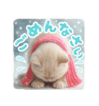 リアル動物の赤ちゃん♡らぶ♪子犬♡Love7（個別スタンプ：21）