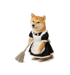 【爆笑・癒し】メイドになった柴犬（個別スタンプ：3）