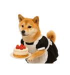【爆笑・癒し】メイドになった柴犬（個別スタンプ：6）