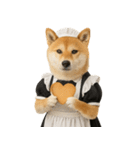 【爆笑・癒し】メイドになった柴犬（個別スタンプ：9）