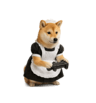 【爆笑・癒し】メイドになった柴犬（個別スタンプ：10）