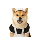 【爆笑・癒し】メイドになった柴犬（個別スタンプ：14）
