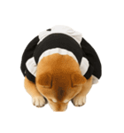【爆笑・癒し】メイドになった柴犬（個別スタンプ：15）