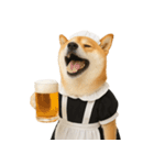 【爆笑・癒し】メイドになった柴犬（個別スタンプ：16）