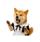 【爆笑・癒し】メイドになった柴犬（個別スタンプ：17）