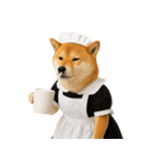 【爆笑・癒し】メイドになった柴犬（個別スタンプ：20）