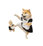 【爆笑・癒し】メイドになった柴犬（個別スタンプ：21）