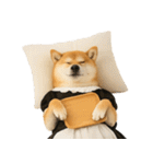 【爆笑・癒し】メイドになった柴犬（個別スタンプ：22）