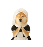 【爆笑・癒し】メイドになった柴犬（個別スタンプ：23）