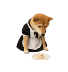 【爆笑・癒し】メイドになった柴犬（個別スタンプ：27）