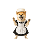 【爆笑・癒し】メイドになった柴犬（個別スタンプ：30）