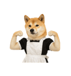 【爆笑・癒し】メイドになった柴犬（個別スタンプ：35）