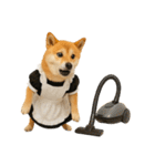 【爆笑・癒し】メイドになった柴犬（個別スタンプ：39）