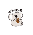コアラとウサギ【日常】（個別スタンプ：14）