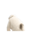 踊る！横揺れ界隈ビジョンフリーゼ/犬/いぬ（個別スタンプ：1）