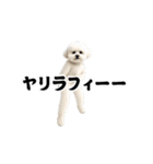 踊る！横揺れ界隈ビジョンフリーゼ/犬/いぬ（個別スタンプ：4）