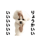 踊る！横揺れ界隈ビジョンフリーゼ/犬/いぬ（個別スタンプ：7）