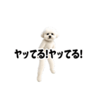 踊る！横揺れ界隈ビジョンフリーゼ/犬/いぬ（個別スタンプ：10）