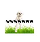 踊る！横揺れ界隈ビジョンフリーゼ/犬/いぬ（個別スタンプ：12）