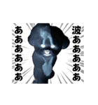 踊る！横揺れ界隈ビジョンフリーゼ/犬/いぬ（個別スタンプ：13）