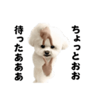 踊る！横揺れ界隈ビジョンフリーゼ/犬/いぬ（個別スタンプ：14）