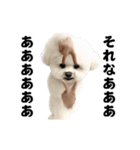 踊る！横揺れ界隈ビジョンフリーゼ/犬/いぬ（個別スタンプ：16）