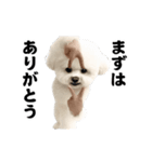 踊る！横揺れ界隈ビジョンフリーゼ/犬/いぬ（個別スタンプ：21）