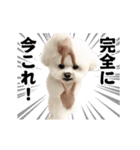 踊る！横揺れ界隈ビジョンフリーゼ/犬/いぬ（個別スタンプ：24）