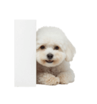 おもしろい妖精さんといっしょ（個別スタンプ：6）