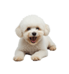 おもしろい妖精さんといっしょ（個別スタンプ：7）