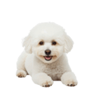 おもしろい妖精さんといっしょ（個別スタンプ：10）