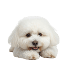 おもしろい妖精さんといっしょ（個別スタンプ：12）