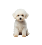 おもしろい妖精さんといっしょ（個別スタンプ：13）