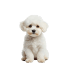 おもしろい妖精さんといっしょ（個別スタンプ：14）