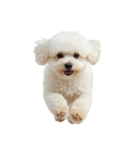 おもしろい妖精さんといっしょ（個別スタンプ：16）